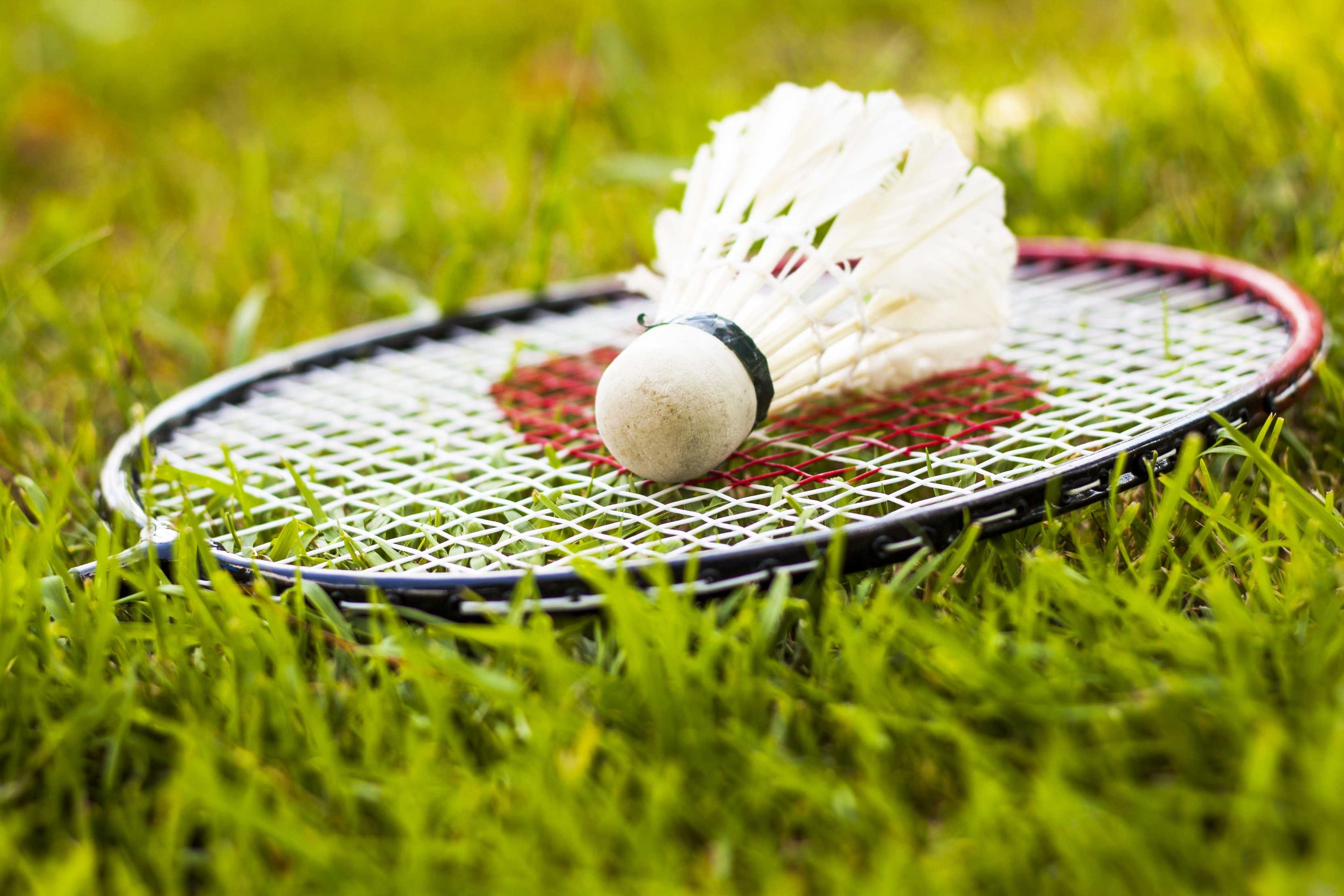 Badminton and shuttlecock
